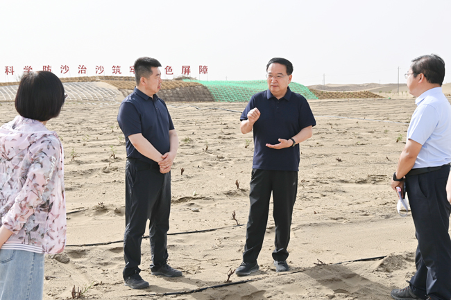 探访黄浦江上唯一的内陆岛屿：量子城市基地有机更新、转型发展